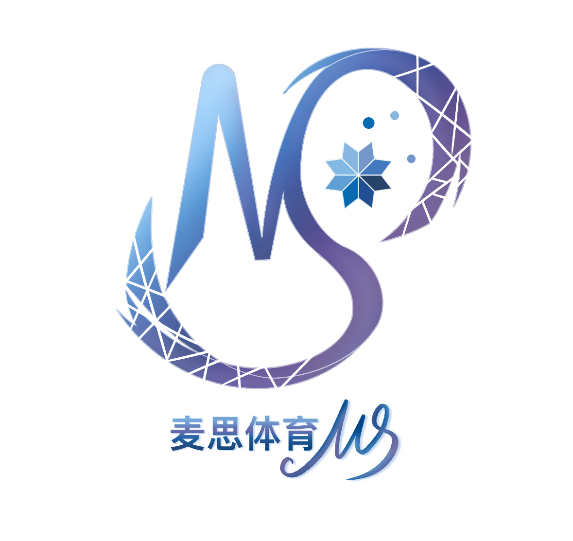 麦思体育 MS